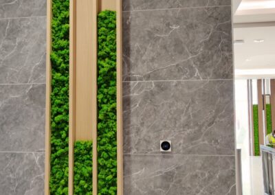 preserved moss wall