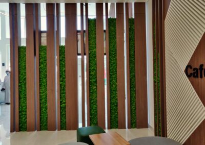 preserved moss wall