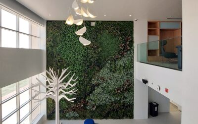 Stunning Artificial Green Wall | Deira International School (DIS)