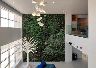 Stunning Artificial Green Wall | Deira International School (DIS)