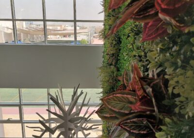 Deira International School (DIS) artificial green wall