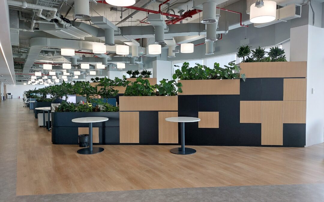 Undeniable Calming Effect of Office Plants | Flash Entertainment HQ