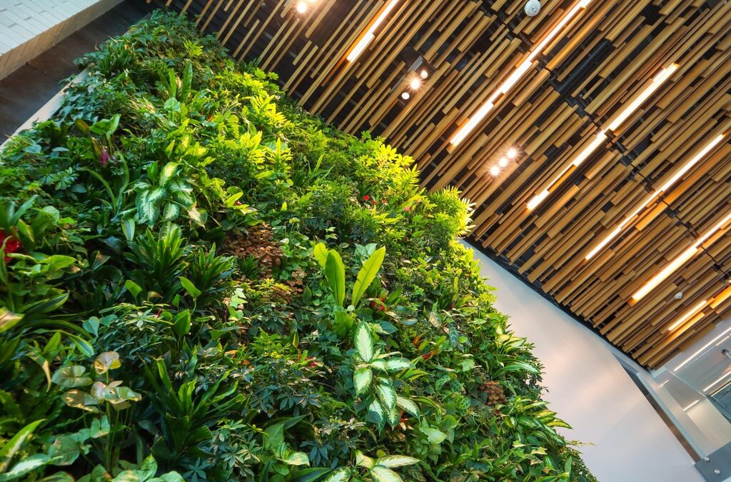 6 Benefits of Adding Outdoor Plant Wall to Your Space