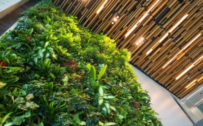 6 Benefits of Adding Outdoor Plant Wall to Your Space