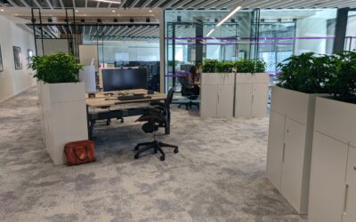 Creating an Eco-Friendly Workplace with Low-Light Plants
