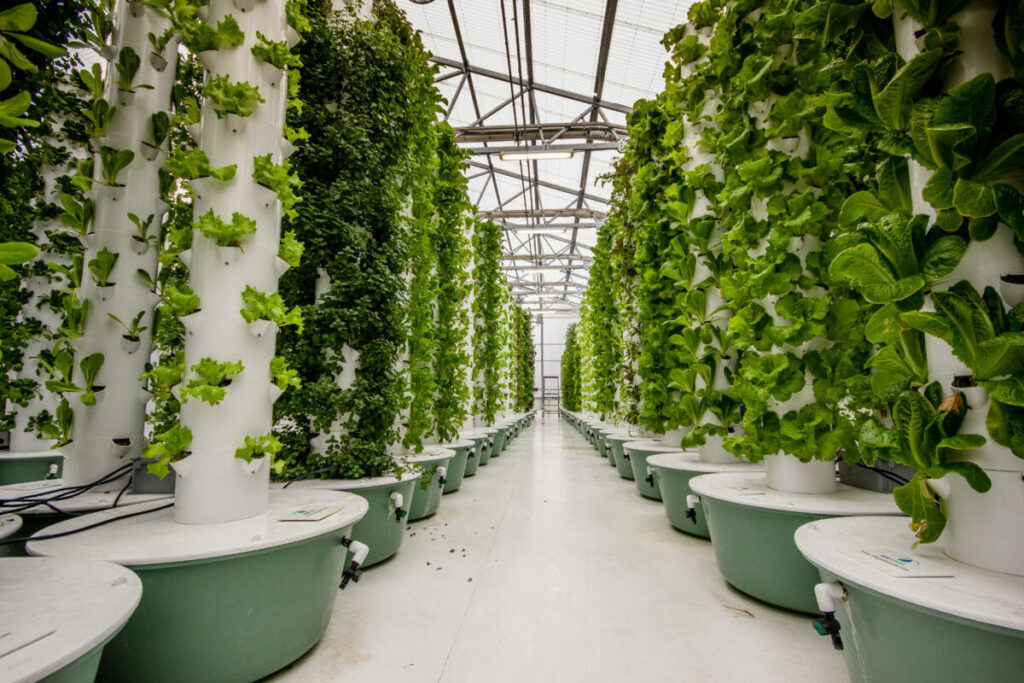 Vertical Garden