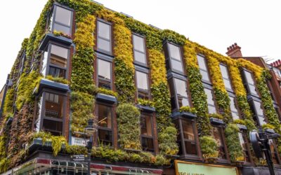 Vertical Garden Solutions for Urban Architecture