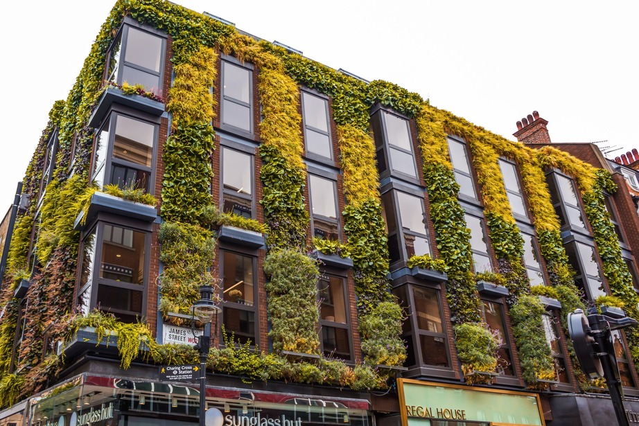 Vertical Garden Solutions for Urban Architecture