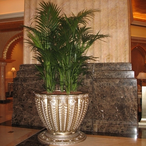 Emirates Palace Hotel Hydroculture Plants