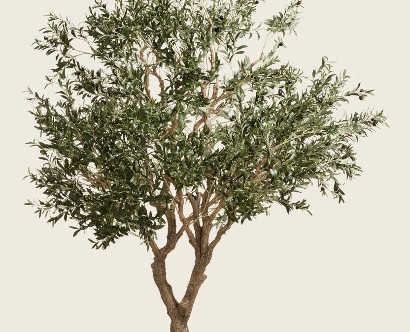 The Artificial Olive Tree: A Timeless Elegance in Modern Décor