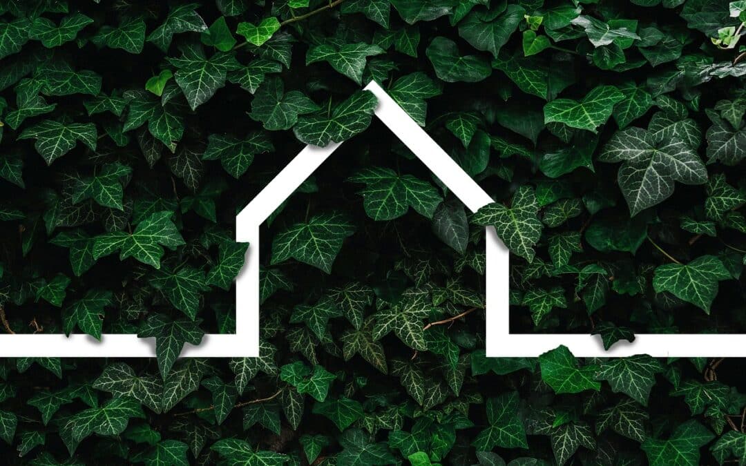The Importance of Sustainability in Architectural Projects