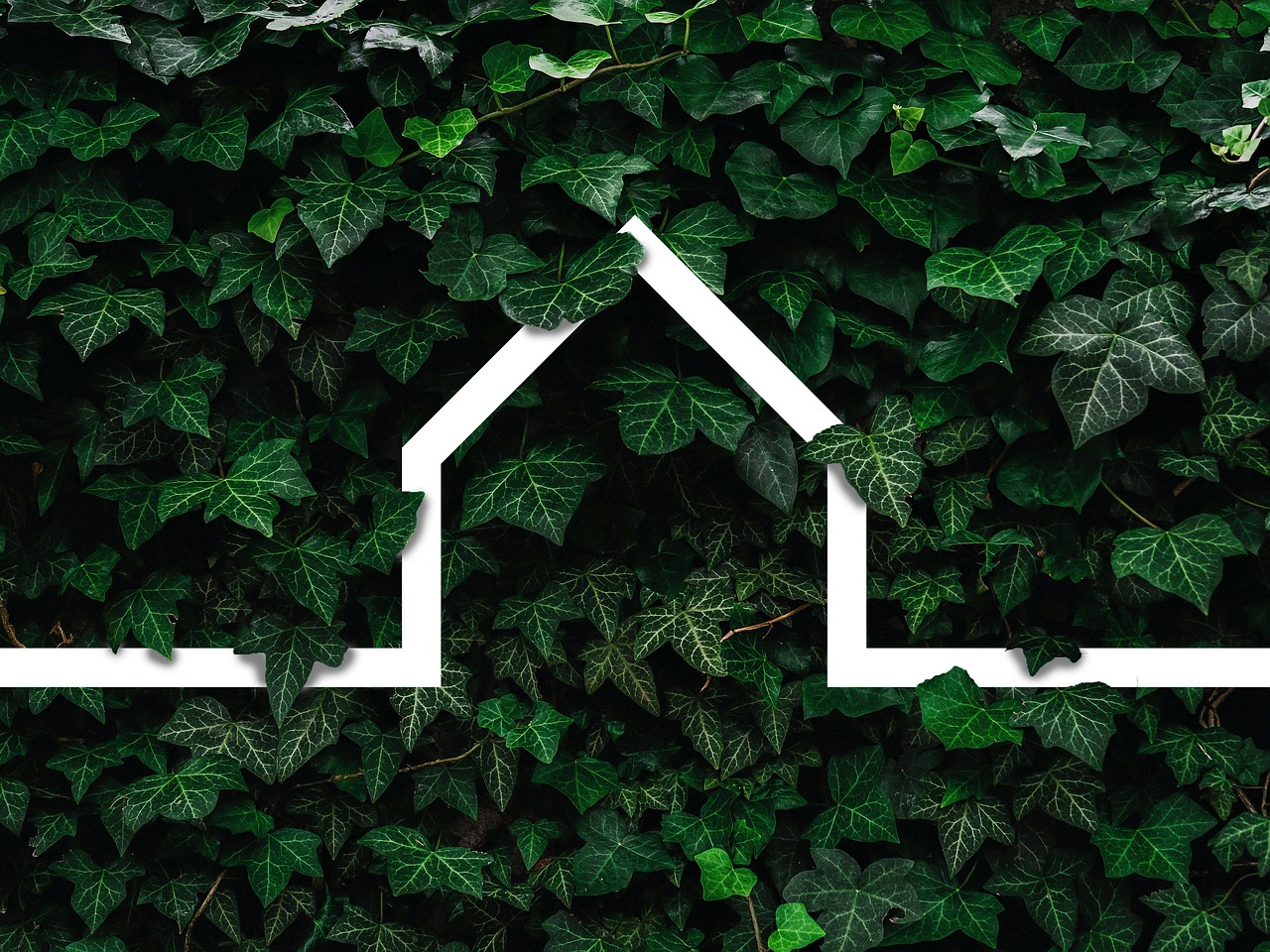 Sustainability in Architectural Projects, Green leaves with house drawing Sustainability in Architectural Projects, Green leaves with house drawing
