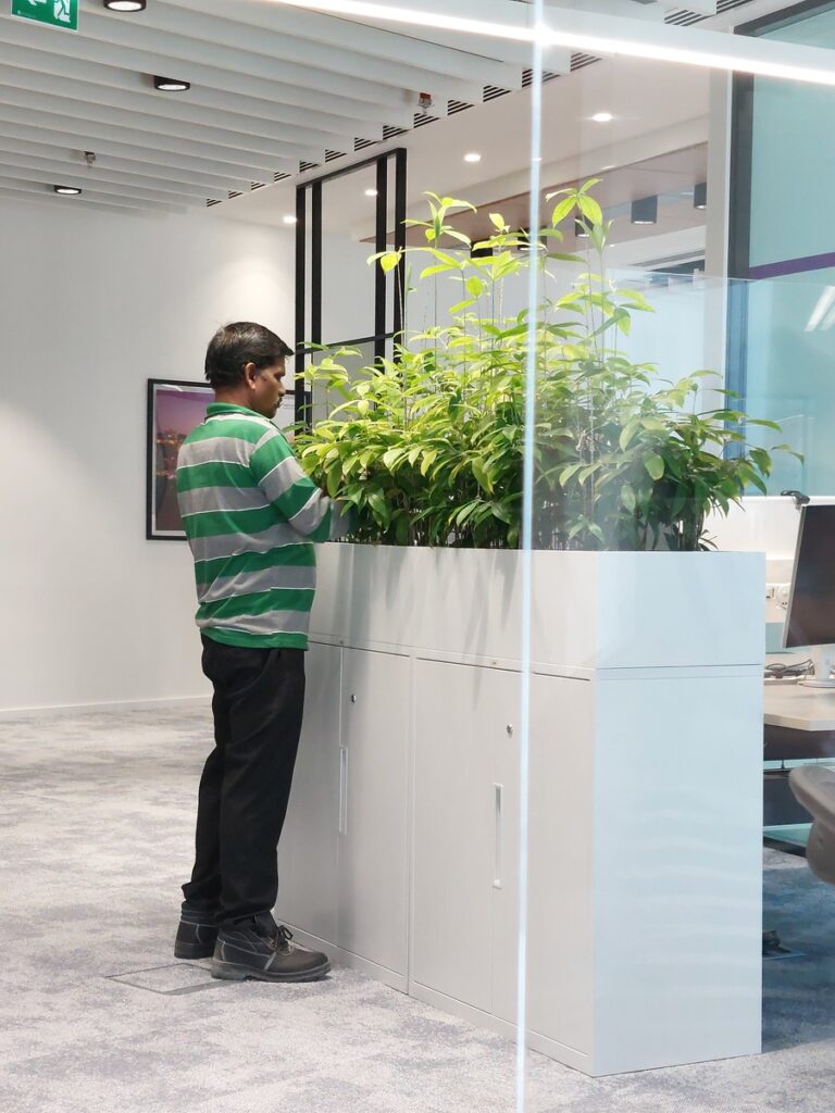 Hydroculture plants Plant Maintenance