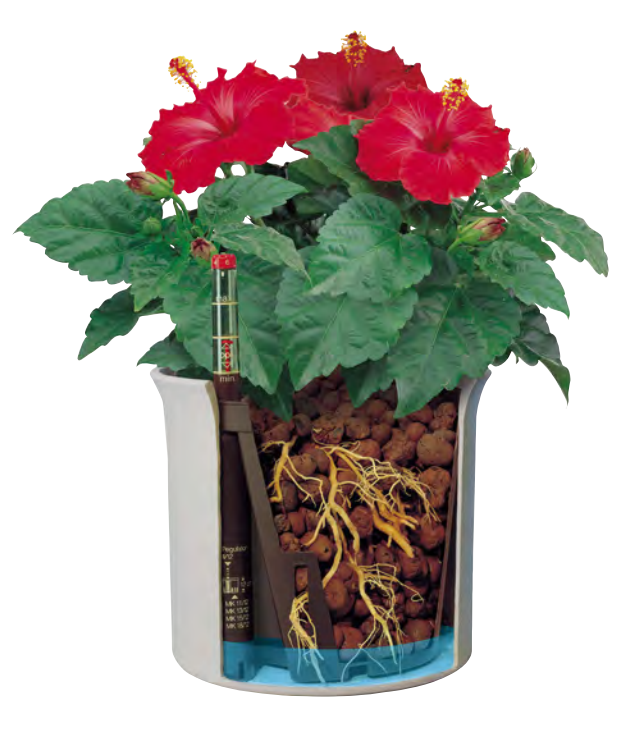 Hydroculture plants Overview
