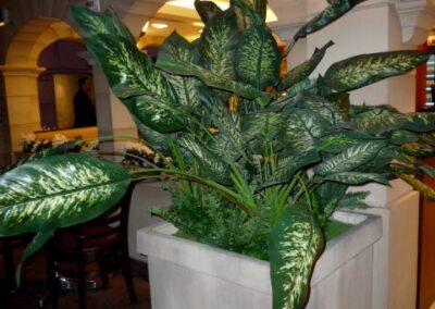 artificial plants kidzania dubai