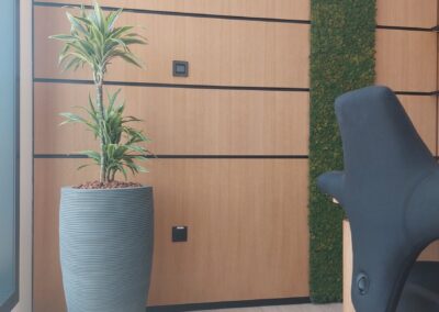 Hydroculture Preserved Bonsai Tree Bespoke GRC Pots Telegram HQ