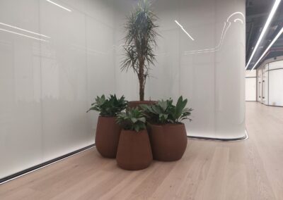 Hydroculture Preserved Bonsai Tree Bespoke GRC Pots Telegram HQ