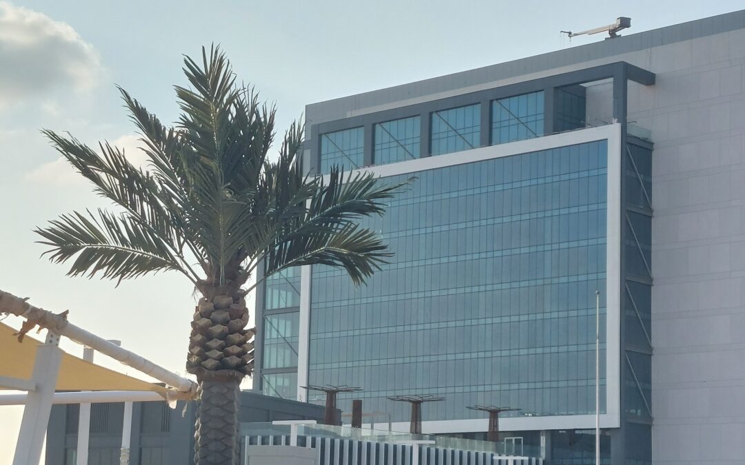 Crafting Timeless Elegance: Outdoor Artificial Palm Tree | Kezad Offices