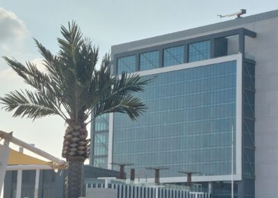 Crafting Timeless Elegance: Outdoor Artificial Palm Tree | Kezad Offices