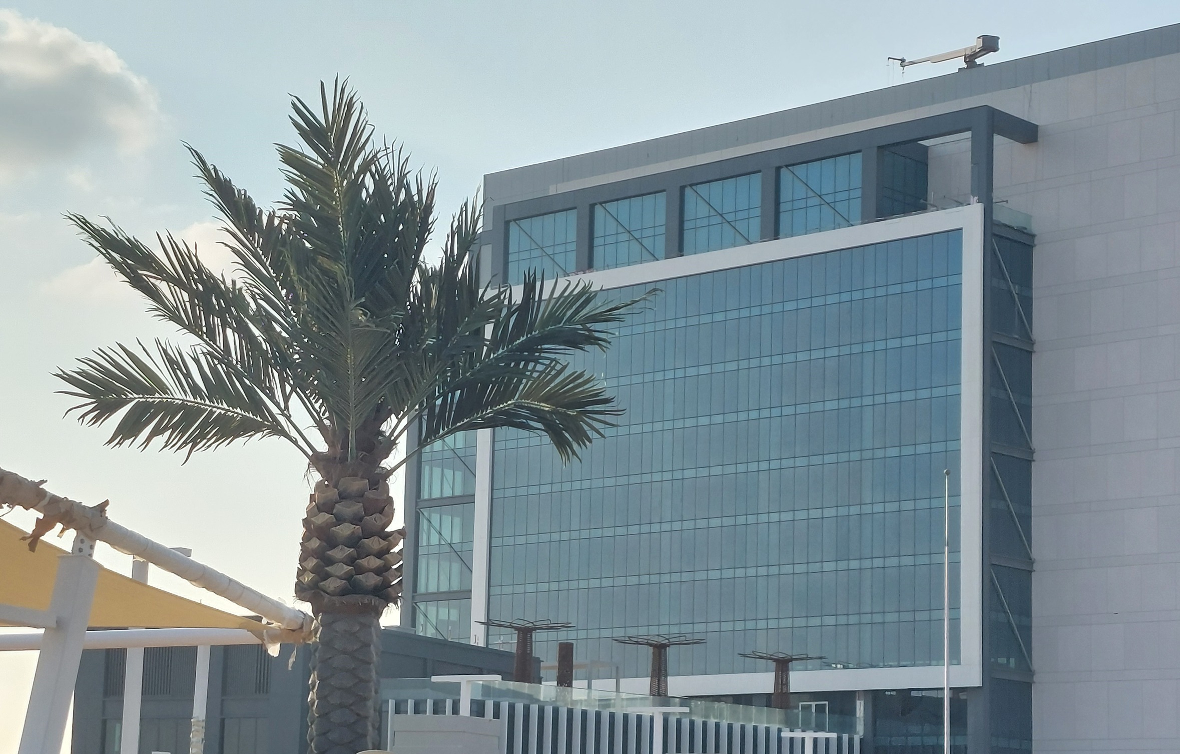 interior-designer-32 Outdoor UV Artificial Palm Tree Kezad abu Dhabi UAE