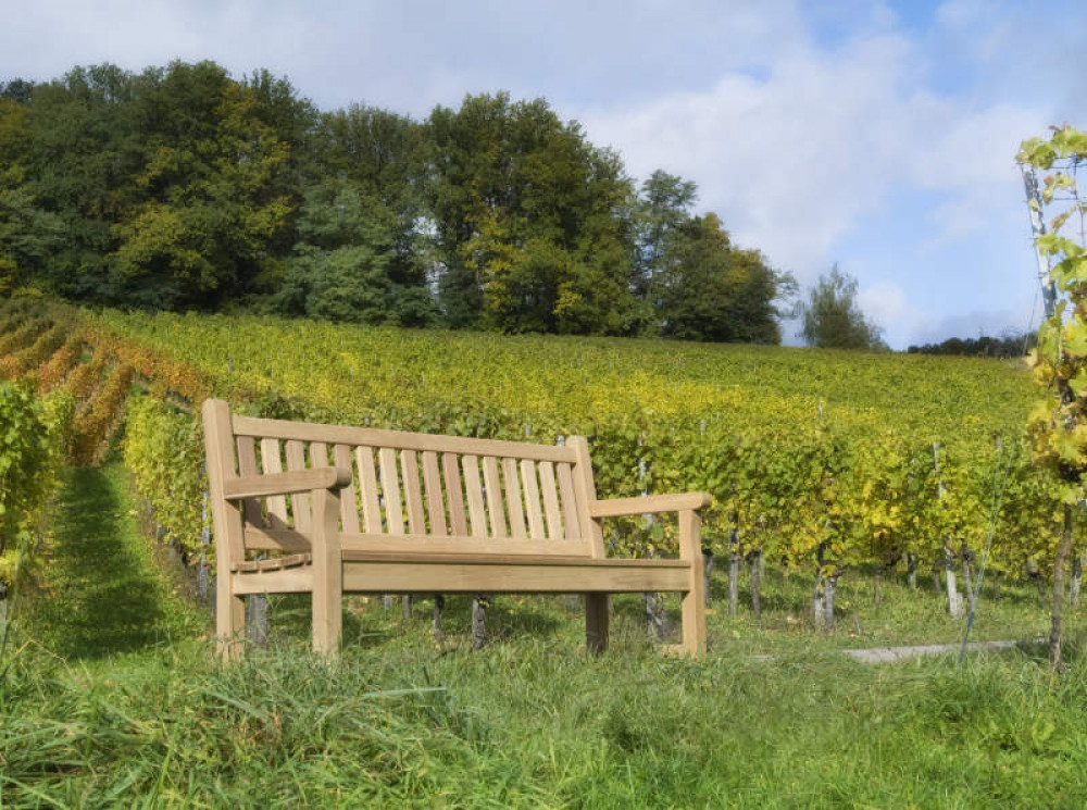 Bench Wooden in nature