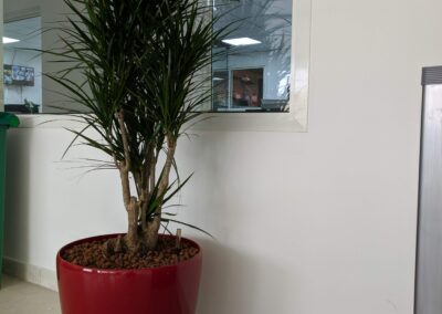 Hydroculture Plants, Pulsar Foodstuff