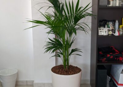 Hydroculture Plants, Pulsar Foodstuff