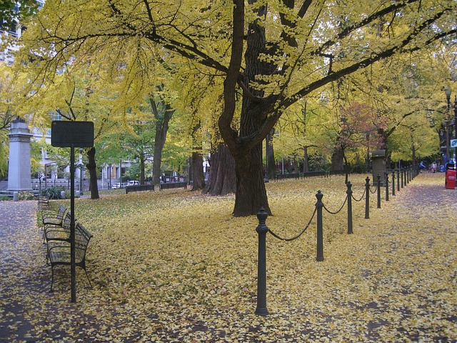 Park with benches Portland Oregon
