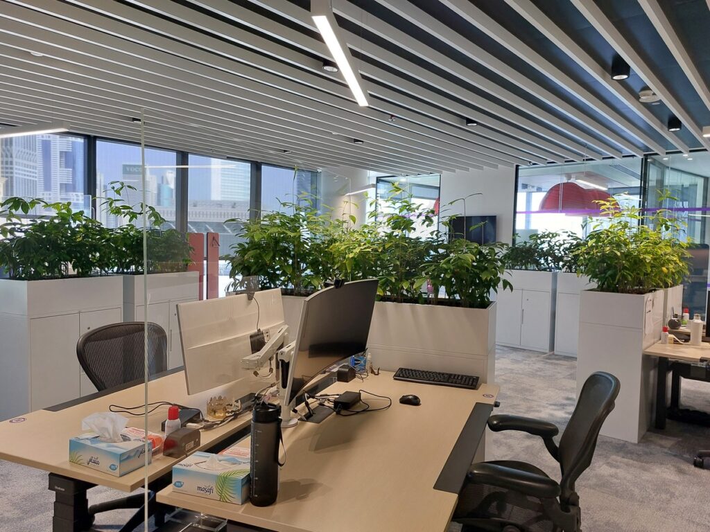 Hydroculture plants in Office Natixis