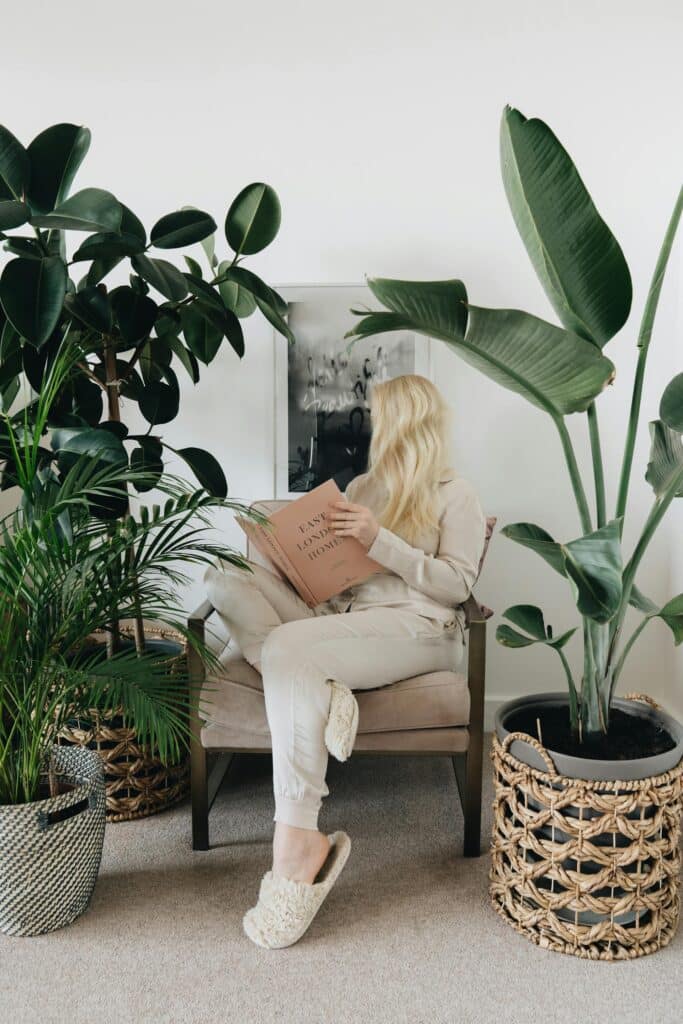 Hydroculture Plants, plant-centric, biophilic