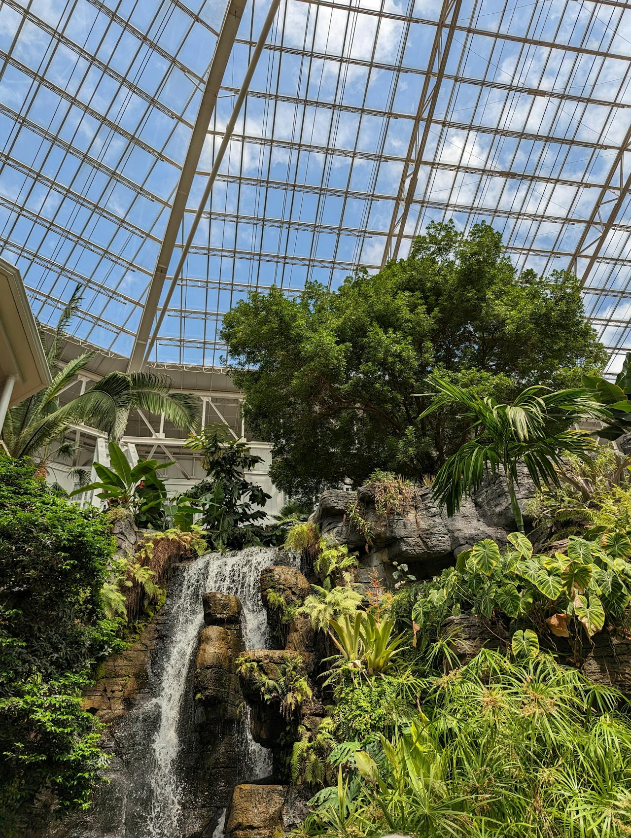 Hydroculture Plants, plant-centric, biophilic