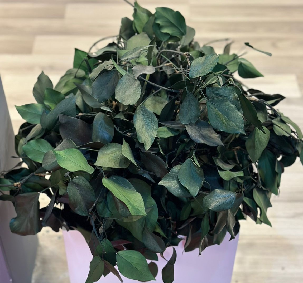 Artificial Plants