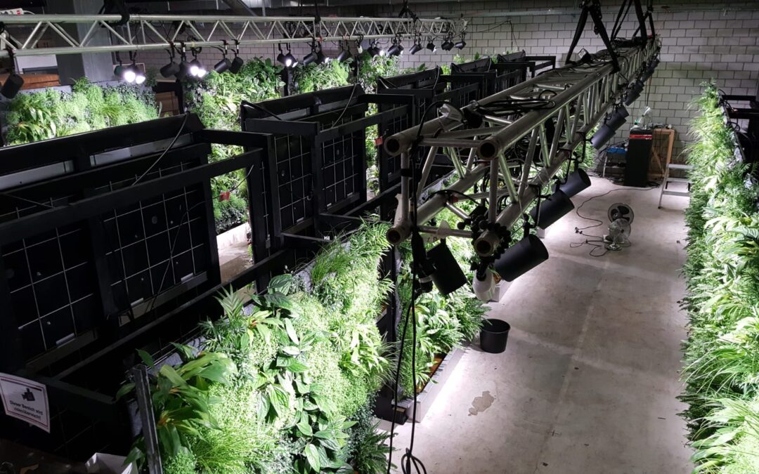 Green Wall Types and Technologies: A Comprehensive Guide