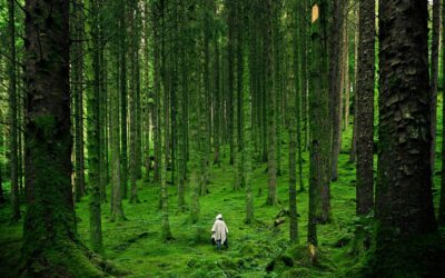 Our Commitment to a Greener Planet: Insights from Our Latest Interview