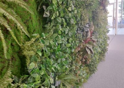 Deira International School (DIS) customized artificial green wall