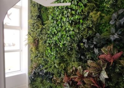Deira International School (DIS) customized artificial green wall