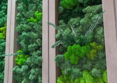 Preserved Moss Wall Customized Preserved Moss Wall Customized Artificial Bonsai Tree DNA Dubai UAE