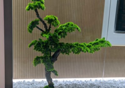 Preserved Moss Wall Customized Preserved Moss Wall Customized Artificial Bonsai Tree DNA Dubai UAE