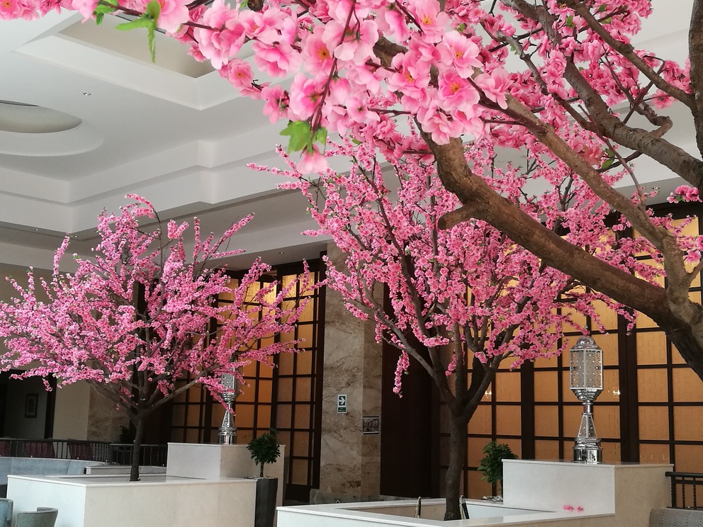 customized artificial cherry tree pink cherry blossom sheraton hotel oman