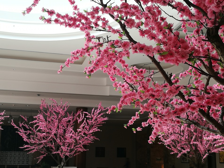 customized artificial cherry tree pink cherry blossom sheraton hotel oman