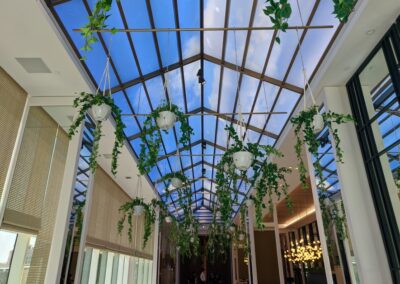 Sofitel The Obelisk Wafi Custom Artificial Trees with natural trunk artificial plants natural plants custom GRC pots