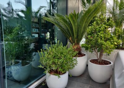 Legatumn-Outdoor-Landscaping Hydroculture