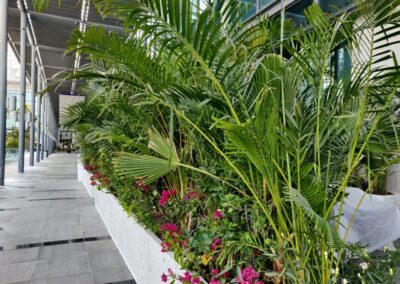 Legatumn-Outdoor-Landscaping Hydroculture
