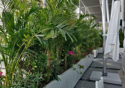 Legatumn-Outdoor-Landscaping Hydroculture