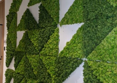 Natixis Moss Wall Custom-made Two colored green Dubai UAE