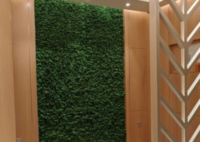 Sharjah Airport Lounge Preserved Moss Wall