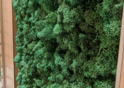 Sharjah Airport Lounge Preserved Moss Wall