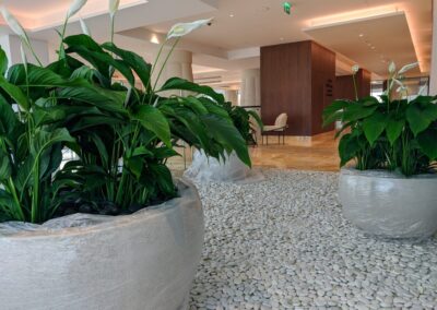 Sofitel The Obelisk Wafi Custom Artificial Trees with natural trunk artificial plants natural plants custom GRC pots
