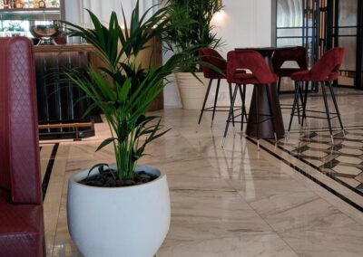 Sofitel The Obelisk Wafi Custom Artificial Trees with natural trunk artificial plants natural plants custom GRC pots
