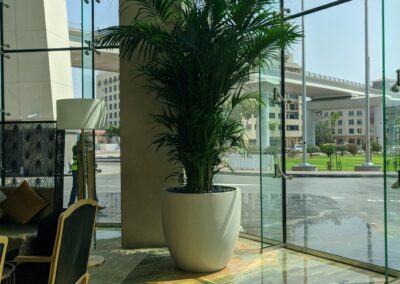 Sofitel The Obelisk Wafi Custom Artificial Trees with natural trunk artificial plants natural plants custom GRC pots